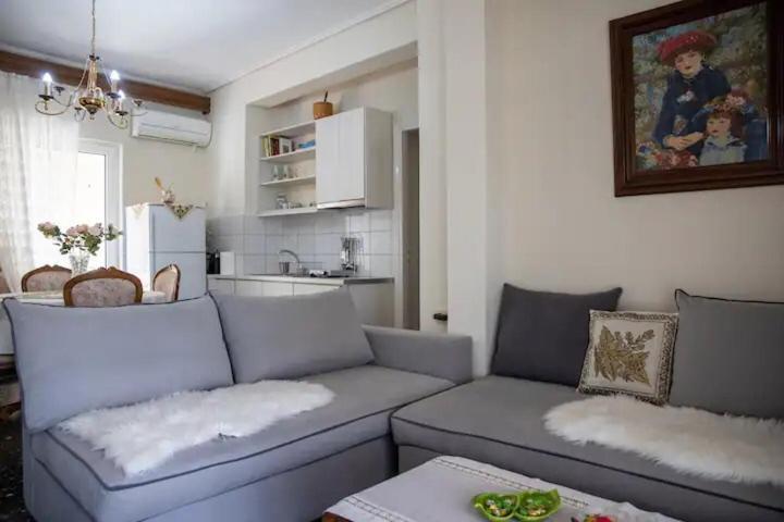 דירות Loft House Trikala מראה חיצוני תמונה