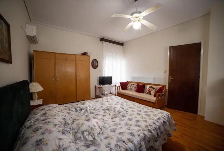 דירות Loft House Trikala מראה חיצוני תמונה